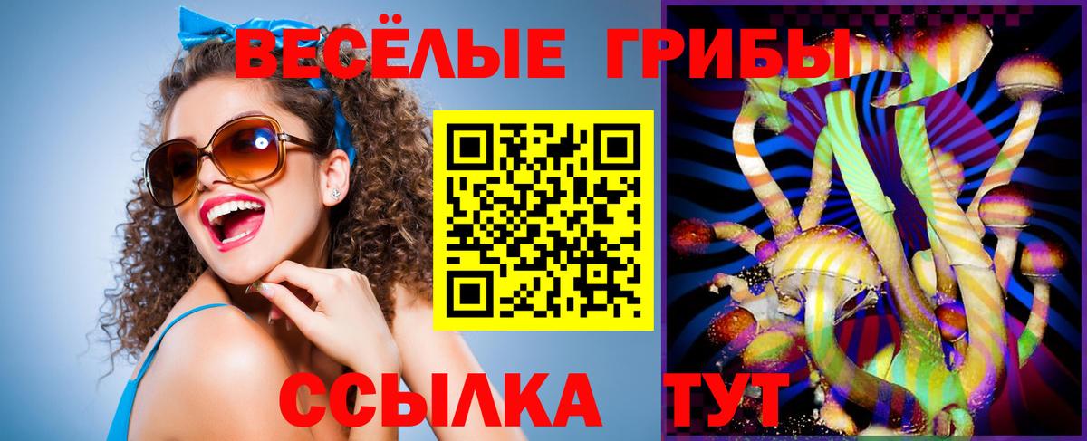 Псилоцибиновые грибы мухоморы Шатура