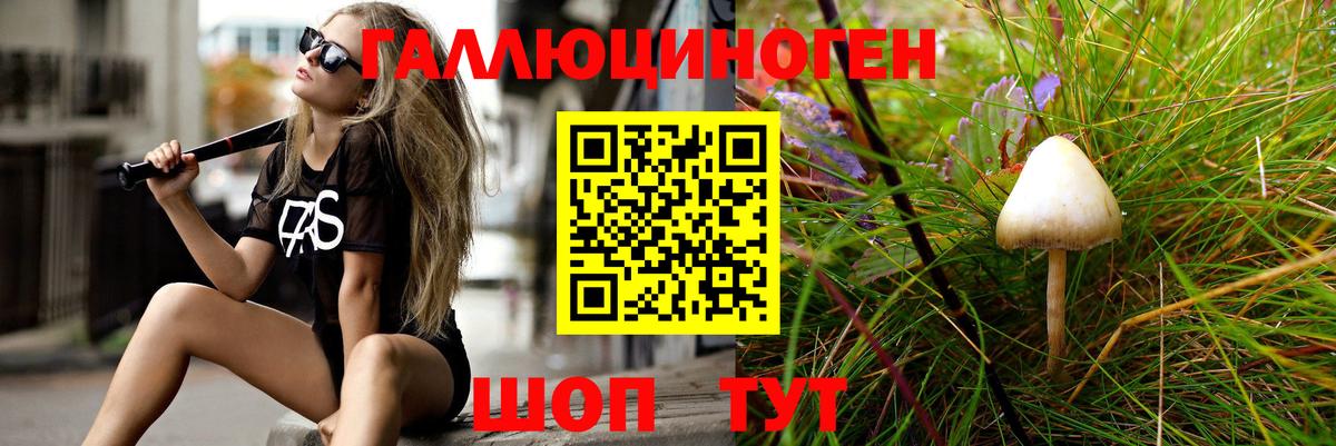 закладки  Псилоцибиновые грибы Psilocybe  Шатура  Вход с VPN  Галлюциногенные грибы прущие грибы 